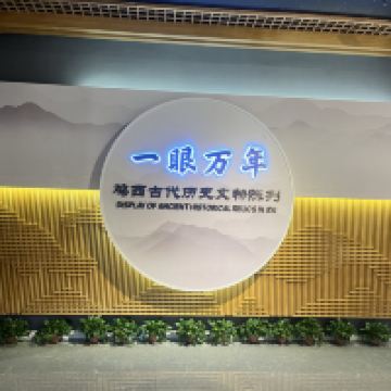 評論圖片 1
