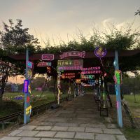 評論圖片 2