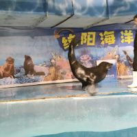 評論圖片 4