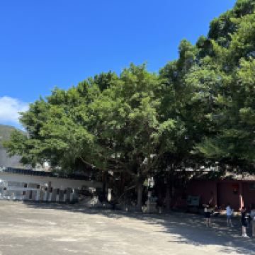 評論圖片 5
