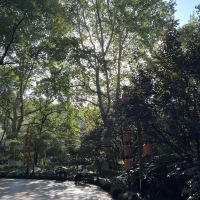 評論圖片 6