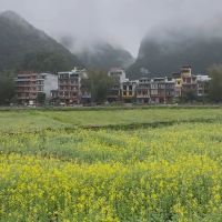 評論圖片 1