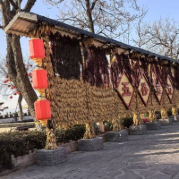 評論圖片 8