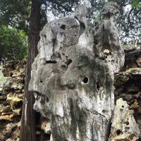 評論圖片 1