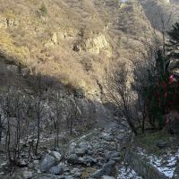 評論圖片 4