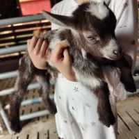 評論圖片 2