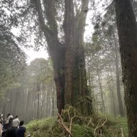 評論圖片 3