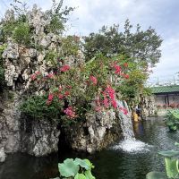 評論圖片 8