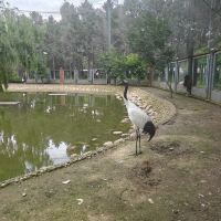 評論圖片 3