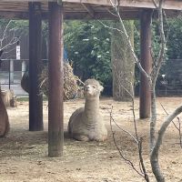 評論圖片 6