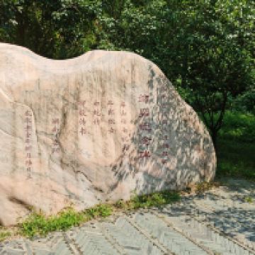 評論圖片 3