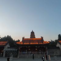 評論圖片 4
