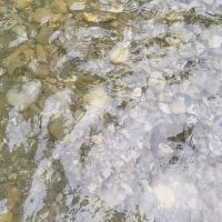 評論圖片 2