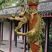 評論圖片 4