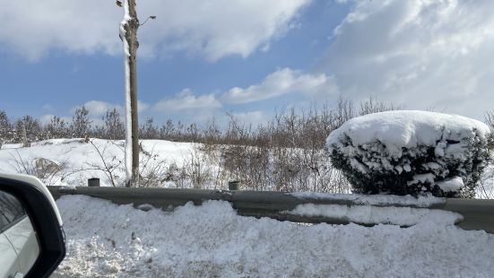 因为一次不得不来的工作，因高速中途封闭，从青岛冒着大雪来到了