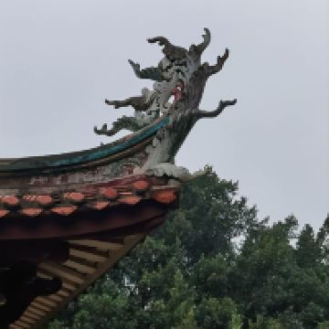 評論圖片 6