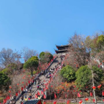 評論圖片 8