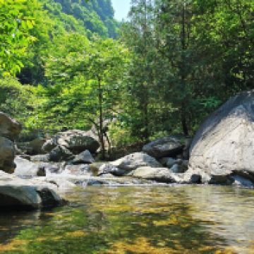 評論圖片 5