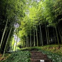 評論圖片 1