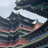評論圖片 5