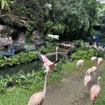 評論圖片 3