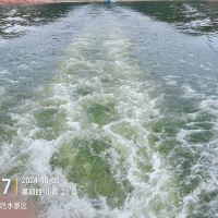 評論圖片 3