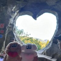 評論圖片 6