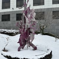 評論圖片 2