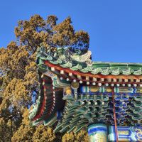 評論圖片 8