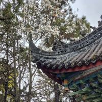 評論圖片 5