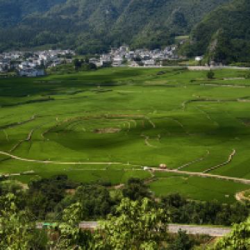 評論圖片 4