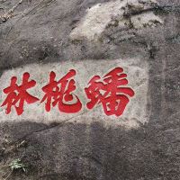 評論圖片 8