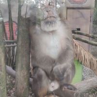 評論圖片 8