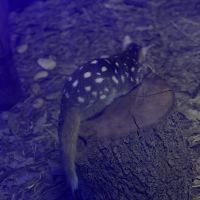 評論圖片 5