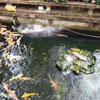 評論圖片 3