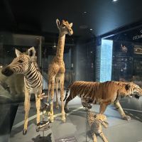 評論圖片 3