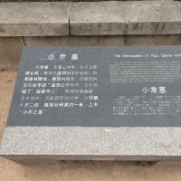 評論圖片 9