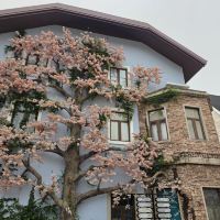 評論圖片 3