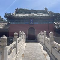 評論圖片 3
