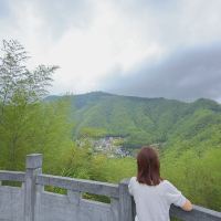 評論圖片 1