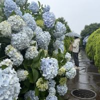 評論圖片 2