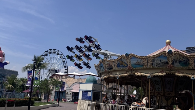 review picture