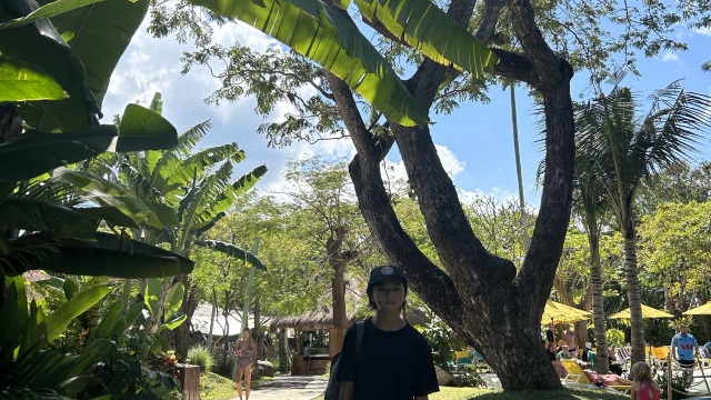 review picture