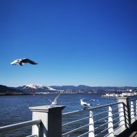 評論圖片 5