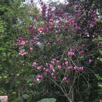 評論圖片 5