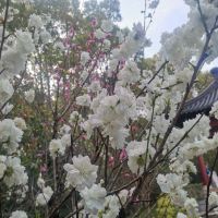 評論圖片 9