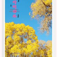 評論圖片 7
