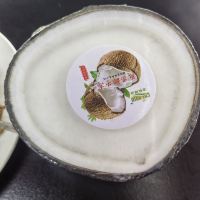 評論圖片 7