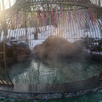 評論圖片 6