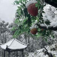 評論圖片 2